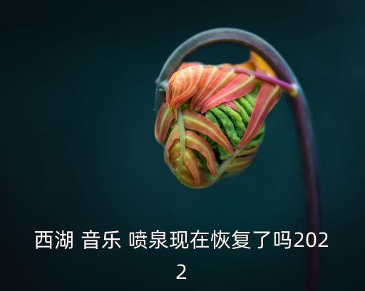 西湖 音樂 噴泉現(xiàn)在恢復(fù)了嗎2022