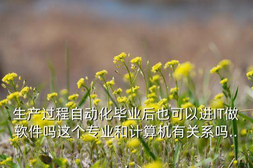 生產(chǎn)過(guò)程自動(dòng)化畢業(yè)后也可以進(jìn)IT做軟件嗎這個(gè)專業(yè)和計(jì)算機(jī)有關(guān)系嗎...