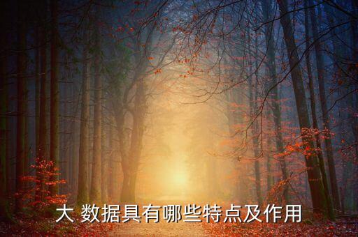 大數(shù)據(jù)的特征用圖說(shuō)明,說(shuō)明數(shù)據(jù)分布的特征例題