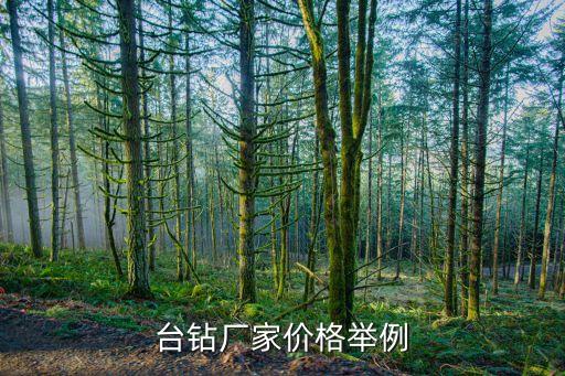 臺鉆廠家價格舉例