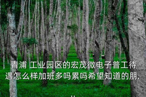  青浦 工業(yè)園區(qū)的宏茂微電子普工待遇怎么樣加班多嗎累嗎希望知道的朋...