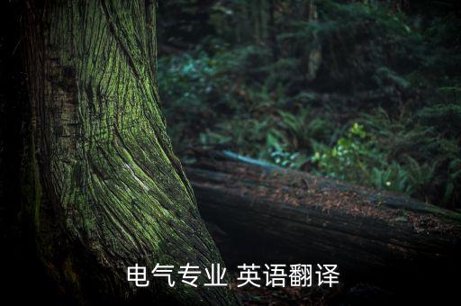  電氣專業(yè) 英語(yǔ)翻譯