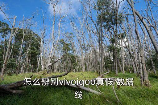 怎么辨別vivoiqoo真假 數(shù)據(jù)線