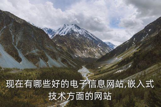 現(xiàn)在有哪些好的電子信息網(wǎng)站,嵌入式技術(shù)方面的網(wǎng)站