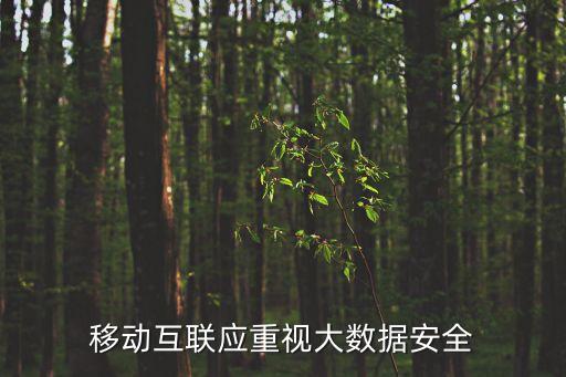 移動(dòng)互聯(lián)應(yīng)重視大數(shù)據(jù)安全