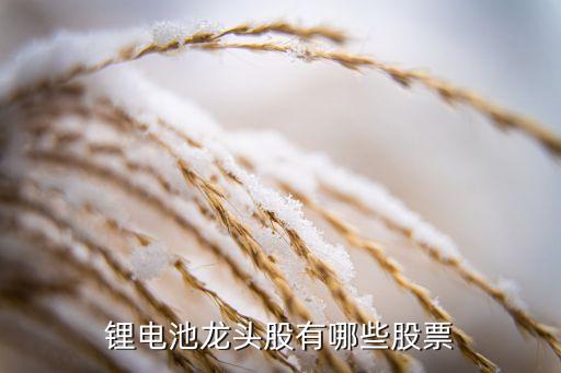 鋰電池龍頭股有哪些股票
