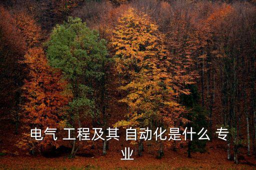  電氣 工程及其 自動化是什么 專業(yè)