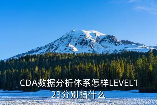 CDA數(shù)據(jù)分析體系怎樣LEVEL123分別指什么