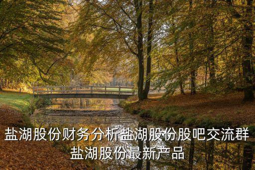 鹽湖股份財(cái)務(wù)分析鹽湖股份股吧交流群鹽湖股份最新產(chǎn)品