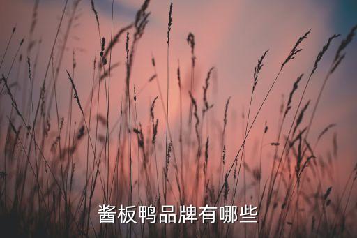 醬板鴨品牌有哪些