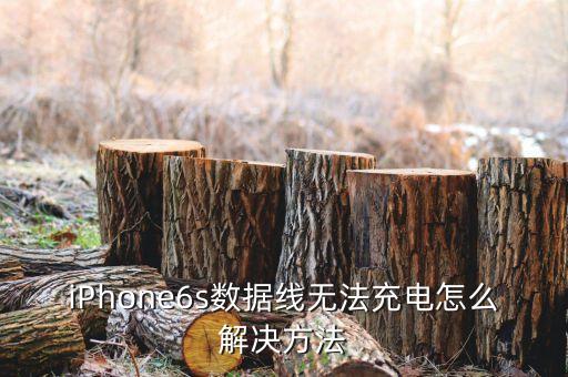6s數(shù)據(jù)線？,蘋果6s數(shù)據(jù)線芯片有黑點?可以試一試