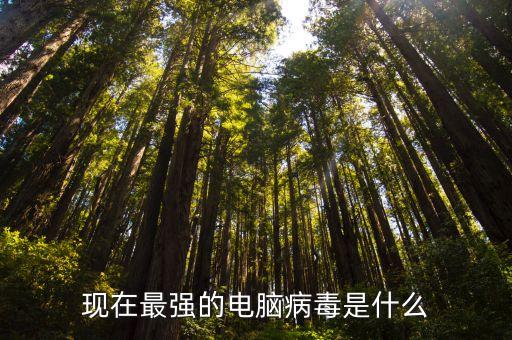 什么病毒能修改網(wǎng)游數(shù)據(jù),網(wǎng)游修改器什么能修改?
