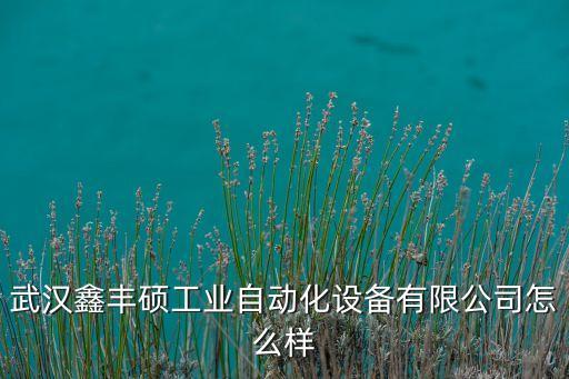 湖北小型自動(dòng)化設(shè)備,武漢鴻博自動(dòng)化設(shè)備有限公司怎么樣?