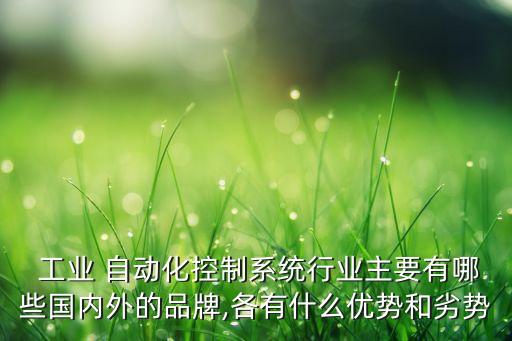  工業(yè) 自動化控制系統(tǒng)行業(yè)主要有哪些國內(nèi)外的品牌,各有什么優(yōu)勢和劣勢
