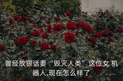 曾經放狠話要“毀滅人類”這位女 機器人,現(xiàn)在怎么樣了