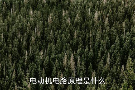 電動(dòng)機(jī)電路原理是什么