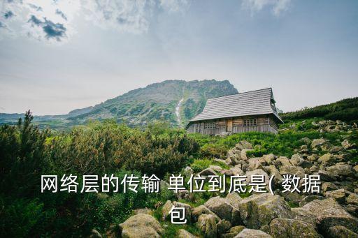  網(wǎng)絡(luò)層的傳輸 單位到底是( 數(shù)據(jù)包
