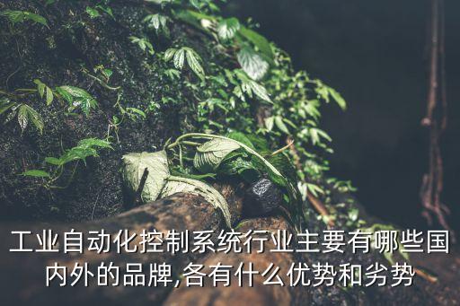 自動(dòng)化設(shè)備dcs制造,中國(guó)生產(chǎn)自動(dòng)化設(shè)備的公司有哪些?