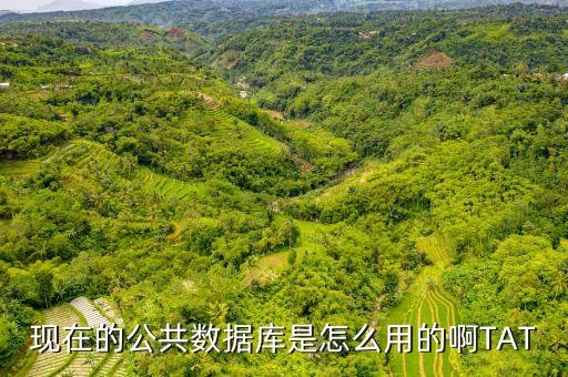 現(xiàn)在的公共數(shù)據(jù)庫是怎么用的啊TAT