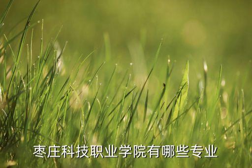 棗莊科技職業(yè)學(xué)院有哪些專業(yè)