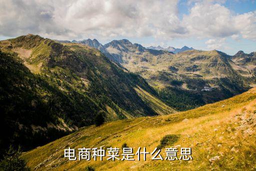 電商種菜是什么意思