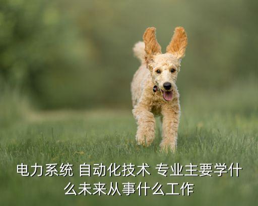 電力系統(tǒng) 自動化技術(shù) 專業(yè)主要學什么未來從事什么工作