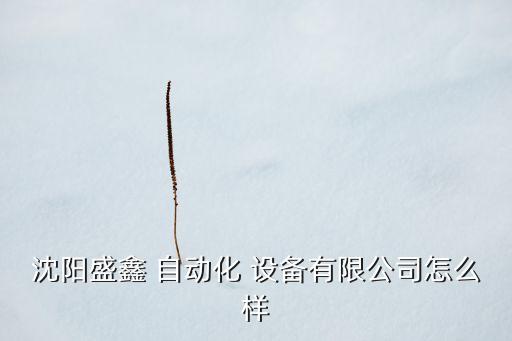 沈陽盛鑫 自動化 設備有限公司怎么樣