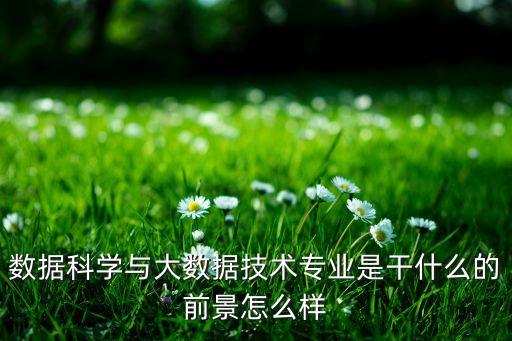 學(xué)計(jì)算機(jī)大數(shù)據(jù)分析主要是做什么,2w計(jì)算機(jī)數(shù)據(jù)分析學(xué)兩個(gè)月