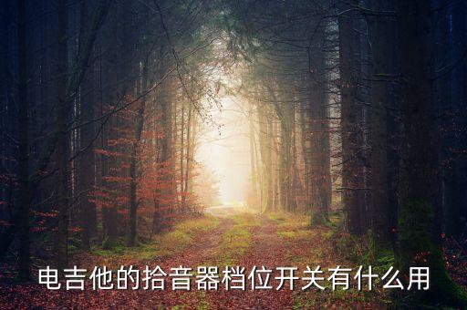 電吉他的拾音器檔位開關(guān)有什么用