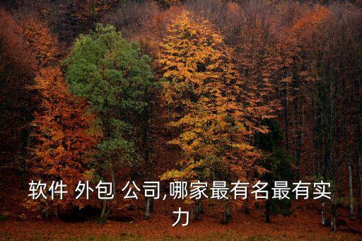 軟件 外包 公司,哪家最有名最有實力