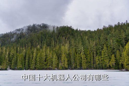 中國十大機(jī)器人公司有哪些