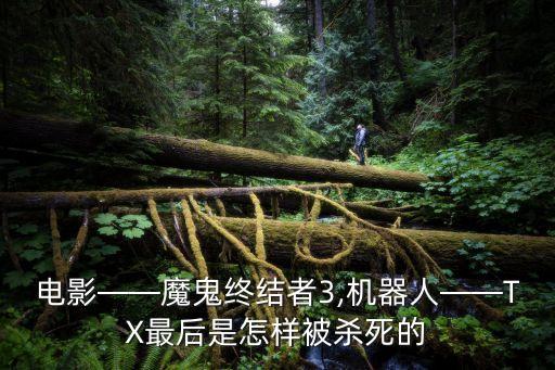 電影——魔鬼終結(jié)者3,機(jī)器人——TX最后是怎樣被殺死的
