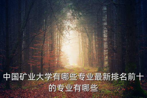 中國礦業(yè)大學(xué)有哪些專業(yè)最新排名前十的專業(yè)有哪些