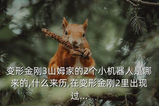 變形金剛3山姆家的2個小機器人是哪來的,什么來歷,在變形金剛2里出現(xiàn)過...