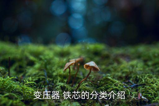 環(huán)形鐵芯卷繞機自動化設(shè)備