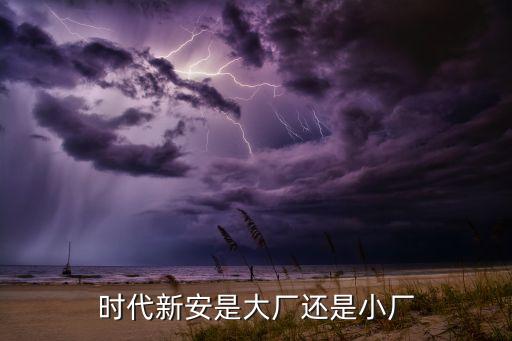 時代新安是大廠還是小廠