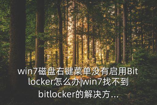 win7磁盤右鍵菜單沒有啟用Bitlocker怎么辦|win7找不到bitlocker的解決方...