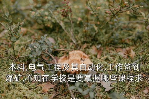 本科,電氣工程及其自動(dòng)化,工作簽到煤礦,不知在學(xué)校是要掌握哪些課程求...