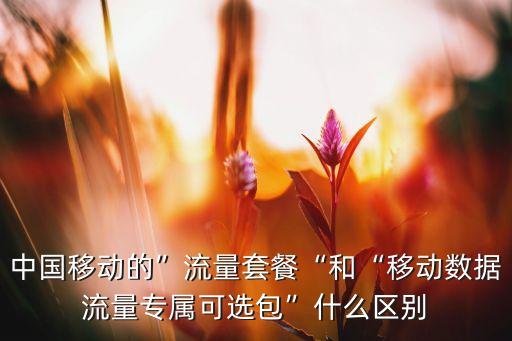 中國移動的”流量套餐“和“移動數(shù)據(jù)流量專屬可選包”什么區(qū)別