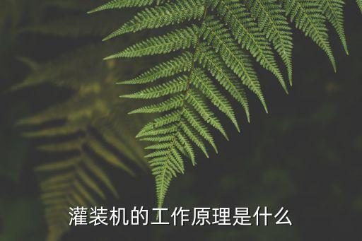 自動化冷凍管灌裝設(shè)備,全自動灌裝機和半自動吹瓶機之別