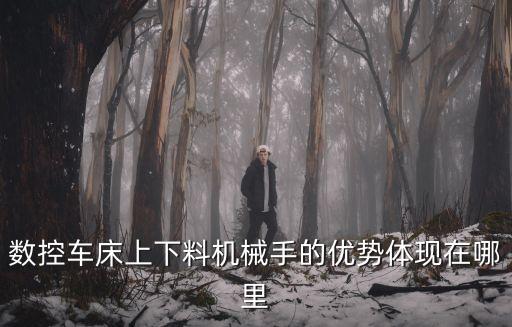 數(shù)控車床上下料機械手的優(yōu)勢體現(xiàn)在哪里
