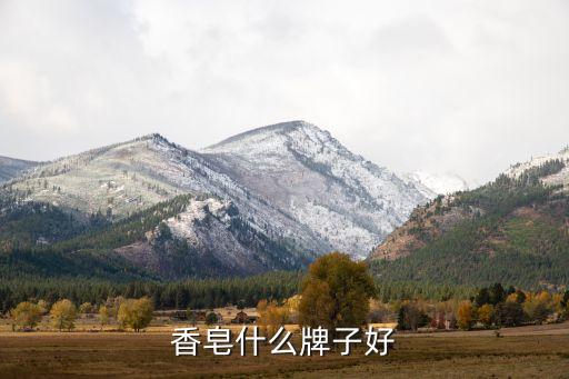 手工皂自動化設備推薦信,手工皂知多少?