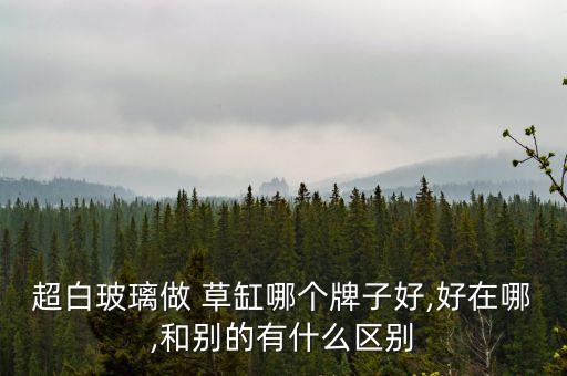 超白玻璃做 草缸哪個(gè)牌子好,好在哪,和別的有什么區(qū)別