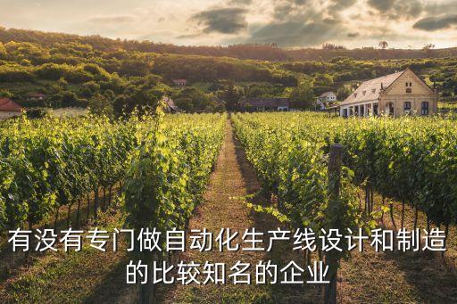 有沒有專門做自動(dòng)化生產(chǎn)線設(shè)計(jì)和制造的比較知名的企業(yè)