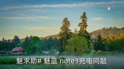 魅求助# 魅藍 note3充電問題