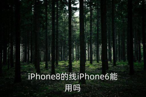 iPhone8的線iPhone6能用嗎