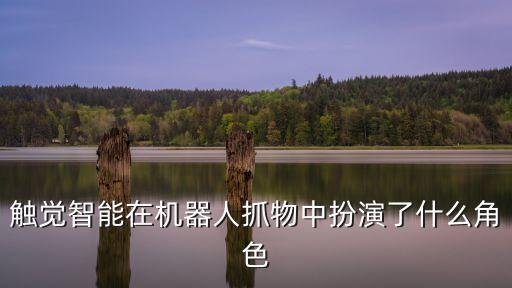 觸覺智能在機器人抓物中扮演了什么角色