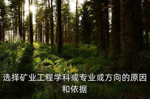 礦業(yè)工程及其自動化專業(yè),礦業(yè)工程:涉及多個(gè)工科領(lǐng)域