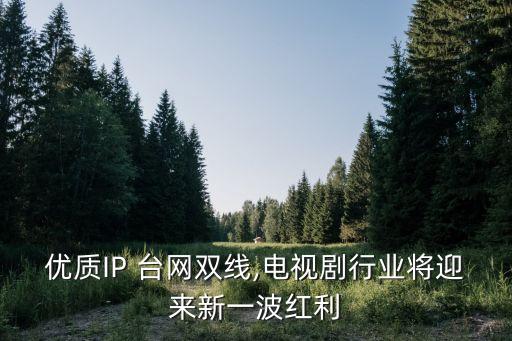 優(yōu)質(zhì)IP 臺(tái)網(wǎng)雙線,電視劇行業(yè)將迎來(lái)新一波紅利