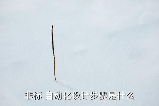 非標(biāo) 自動(dòng)化設(shè)計(jì)步驟是什么